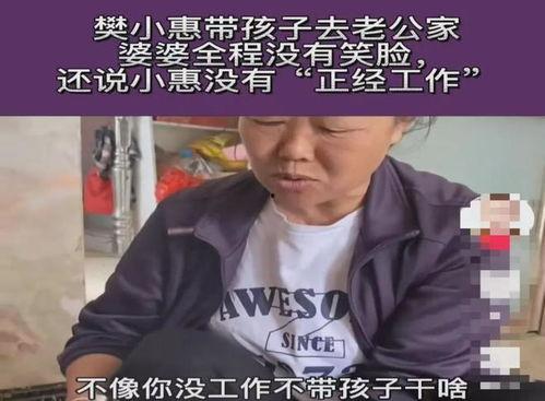 樊小慧爆料内容视频播放,真相与争议并存